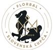 Florbal Slovenská Ľupča